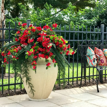Pool Planting: The Colony at Pelican Landing