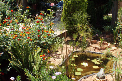 Inspiration for a farmhouse landscaping in Madrid.