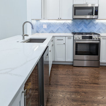 Lincoln Park Kitchen Remodel