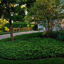 Privacy Hedge