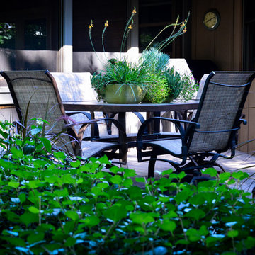 Shady Backyard Retreat