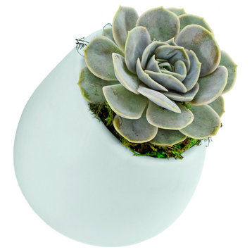 Large Round Wall Planter, Mint