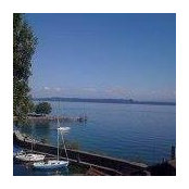 Levi Zegarra's photo