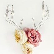 Elizabeth Macklerさんの写真