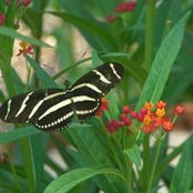 Tracy Marple's photo