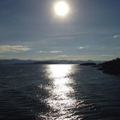 Barb Haug's photo
