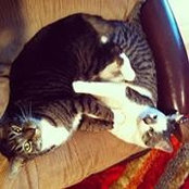 Darla Beaudry's photo