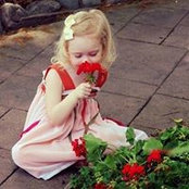 Kelly Satterfield's photo