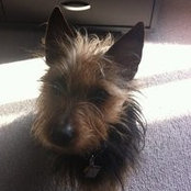 Brendan Farrar-Foley's photo