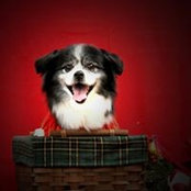Susan Kreusch's photo