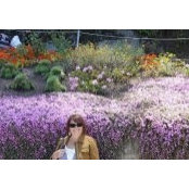 Nikki Dowdさんの写真