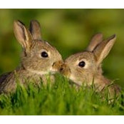 Michelle Brown's photo