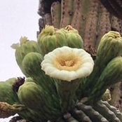 Brian Coon's photo