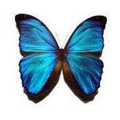 Nathi Alarcon's photo
