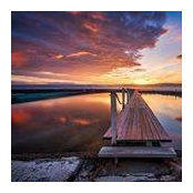 Sybil Amit's photo