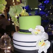 Kathy Burgos's photo