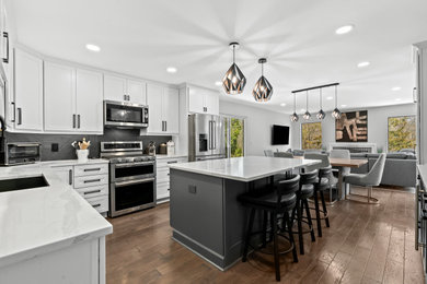 Kitchen - contemporary kitchen idea in Detroit