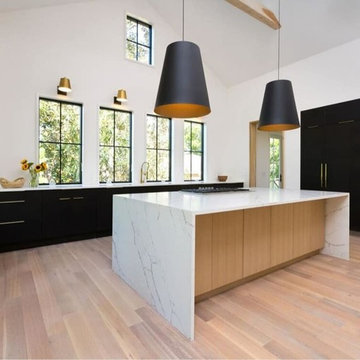 European White Oak