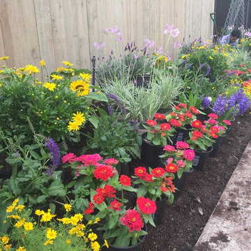 Gardens & Garden Paths