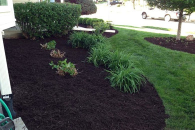 Design ideas for a landscaping in Omaha.