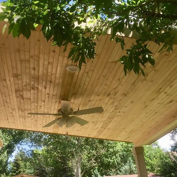 Shed roof, tongue and groove pine, with can lights and fanp