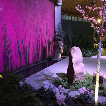 Southern Spring Home and Garden Show Entry 2016:  Spring in Japan