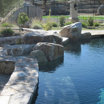 Murrieta