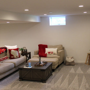 Oconomowoc Basement