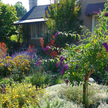 Pollinators Paradise