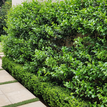 Gorgeous Gardens planters, raised flower beds