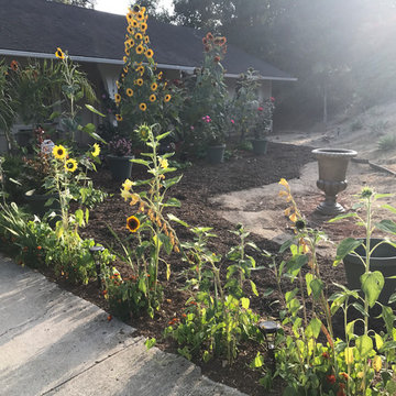 Landscape Maintenance