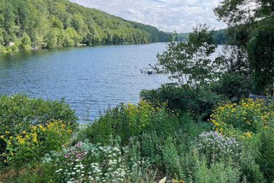 Wildflower meadow with lake view