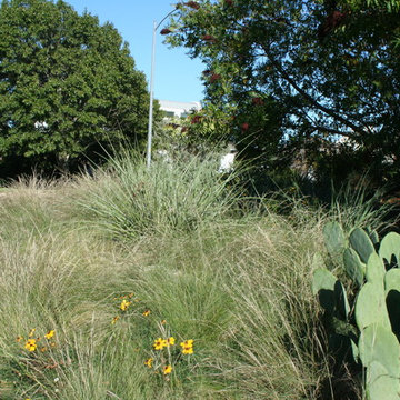 Natural Landscape in Northwest Hills