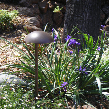 Xeriscaping and Misc.
