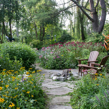 Native Plant, Lawn Replacement Landscape