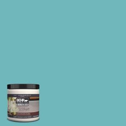 BEHR Surfer Interior/Exterior Paint Sample-510D - Paint