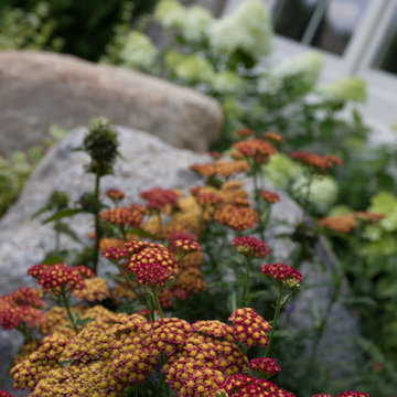 Perennial Color