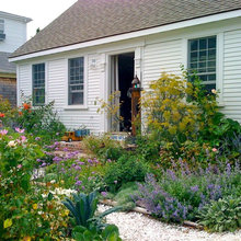 Cape Cod Charm