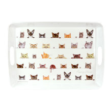 Tray