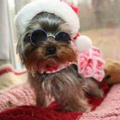 Jacqueline Fortin's photo