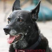 Scott Courtney's photo