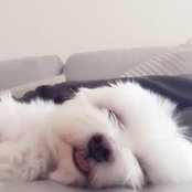 Deborah Yuan's photo