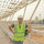 Mouad Sulieman