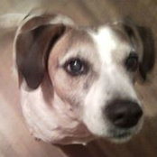 Melanie Collins's photo