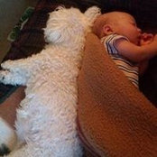 Luann Lamb's photo