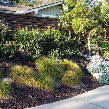 General Clean-up & Plant Additions