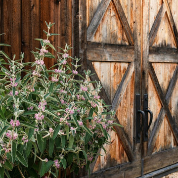 Rustic barn doors and garden detail in Northern California