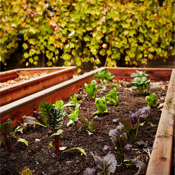 Shamanic & Sustainable Garden Design