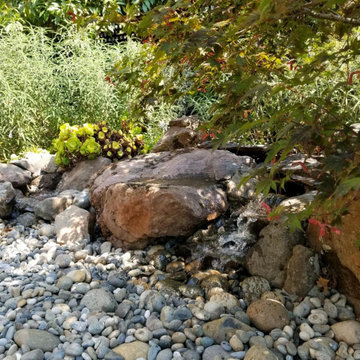 Mountain View backyard
