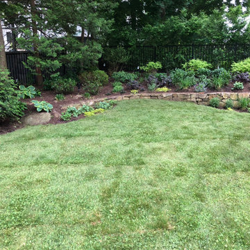 Low-Mow Lawn & Landscape Renovation